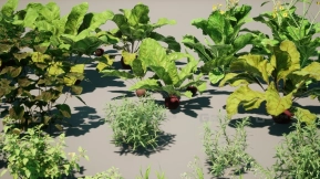 【UE】种植蔬菜 V2 plant vegetables V2