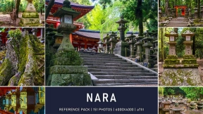 日本奈良  Nara Japan