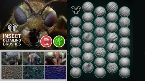 Pablander学院 ZBrush昆虫细节笔刷 Pablander Academy - Insect Detailing Brushes for ZBrush