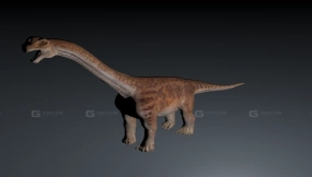 Camarasaurus - 圆顶龙