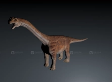 Camarasaurus - 圆顶龙