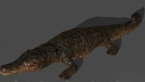 Deinosuchus - Orion Prelude - 恐鳄 - 猎户座前奏