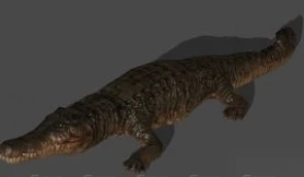 Deinosuchus - Orion Prelude - 恐鳄 - 猎户座前奏