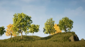 【UE】树木包（枫树混种）  Tree Pack (Assorted Maple Trees)