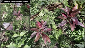 【UE】真实植物与草地包02  Realistic Plants and Grass Pack 02