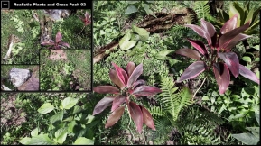 【UE】真实植物与草地包02  Realistic Plants and Grass Pack 02