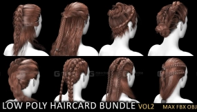 16种女性头发辫子卡片发型模型 Low Poly game ready haircard bundle vol2