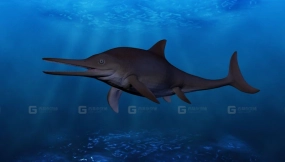 鱼龙 Ichthyosaurus 0