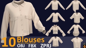 10件女式衬衫上衣衣服 10 women blouse