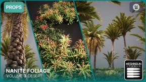 【UE】沙漠生物群落植物Vol3  Nanite Foliage Vol3 Desert