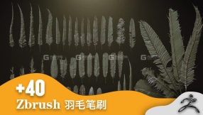 ZBrush羽毛笔刷预设模型 ArtStation – FEATHERS – 40 High poly sculpts and IMM Brush