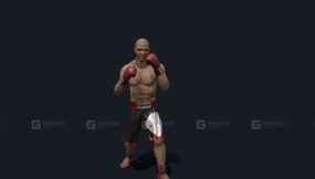 拳击手作品集5 - Boxer Portfolio5