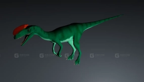 冠龙 Guanlong 0