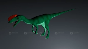 冠龙 Guanlong 0