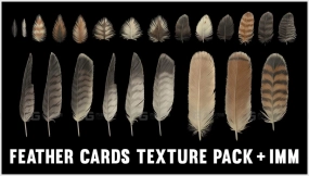鸟类羽毛翅膀贴图 Red-Tailed Hawk Feathers Texture Pack + IMM
