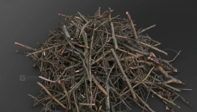 树枝柴火 Tree branches pile