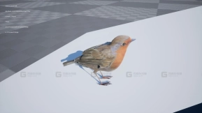 【UE】罗宾  Robin