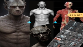 ZBrush人体肌肉解剖建模教程 Gumroad – Design and Anatomy Package