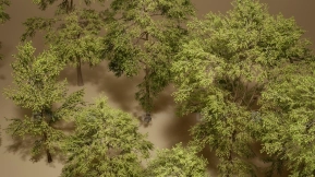 【UE】植被VOL.7 白蜡树（支持Nanite与低多边形版本） Foliage VOL.7 - Ash Trees (Nanite and Low Poly)