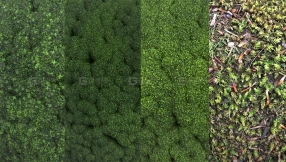 无缝青苔植被苔藓草地贴图