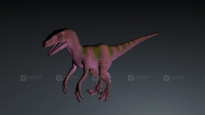 Megaraptor - 大盗龙