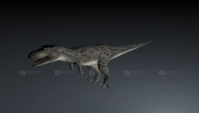 Albertosaurus - 阿尔伯塔龙