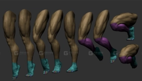 9个男性腿部肌肉结构pose姿势模型 Male Leg Poses 3D Model