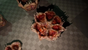 【UE】血肉鞭毛与肉花  Flesh Flagella and Meat Flowers