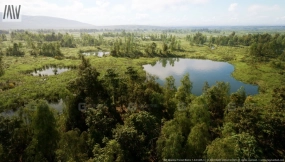 【UE】MW草地森林树木生态群系 MW Meadow Forest Trees Biome