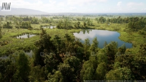 【UE】MW草地森林树木生态群系 MW Meadow Forest Trees Biome