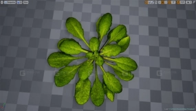 【UE】幻想草地植被包  Fantasy Meadow Foliage Pack