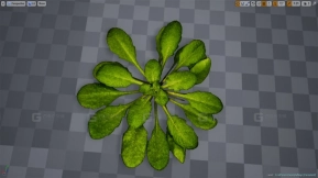 【UE】幻想草地植被包  Fantasy Meadow Foliage Pack