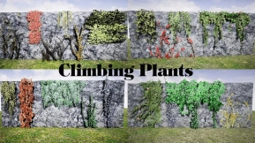 【UE】攀缘植物  Climbing Plants
