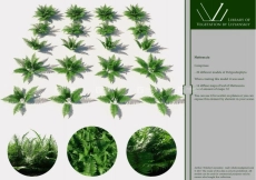 【max模型】花园植物3D模型 Library of Vegetation by Lisyanskiy
