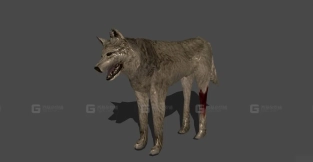 受伤版狗狗 Dog injured version 31