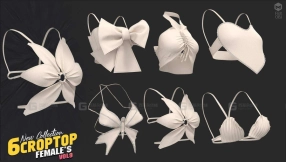 6+女性性感内衣比基尼6 CROPTOP - FIMALE'S
