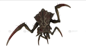 蚁狮 Antlion 4