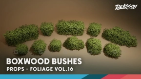【UE】植被第16卷 - 黄杨灌木（Nanite与低多边形）  Foliage VOL.16 - Boxwood Bushes (Nanite & Low Poly)