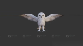 猫头鹰成群 Owls pack 40