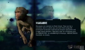 猕猴-Macaque 3D model-24-0