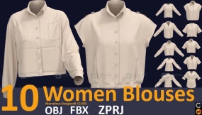 10套长袖女式衬衫衣服上衣模型 10 women's blouse (VOL.03). Zprj, OBJ, FBX