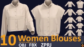 10套长袖女式衬衫衣服上衣模型 10 women's blouse (VOL.03). Zprj, OBJ, FBX