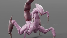 外星生物  Alien Creature