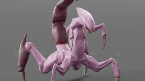 外星生物  Alien Creature