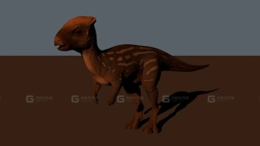 平头龙 Homalocephale 0