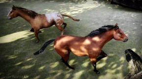 【UE】马匹入门套件 Horse Starter Kit