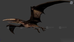 Pteranodon 1 - 无齿翼龙1