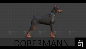 【UE】杜宾犬  Dobermann