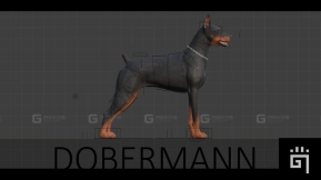 【UE】杜宾犬  Dobermann