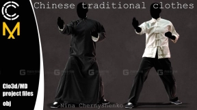 中国风传统服装太极服功夫武术布衣